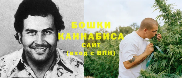 стафф Мегион